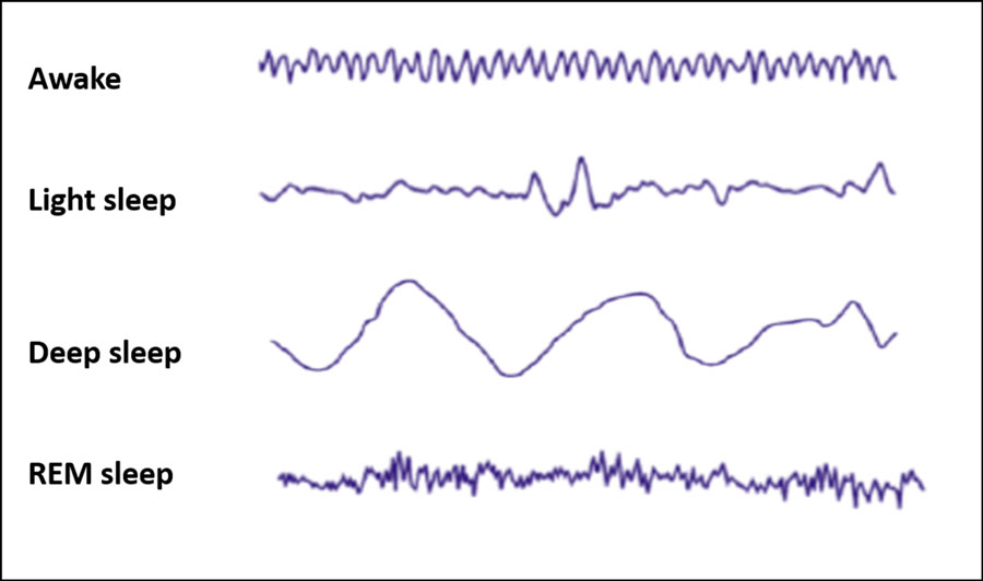 light sleep vs deep sleep light sleep vs deep sleep