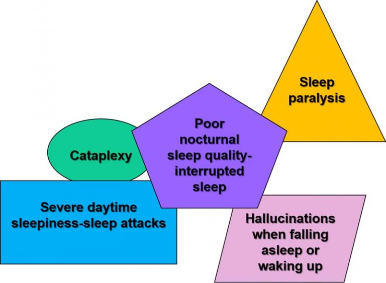 cataplexy and narcolepsy